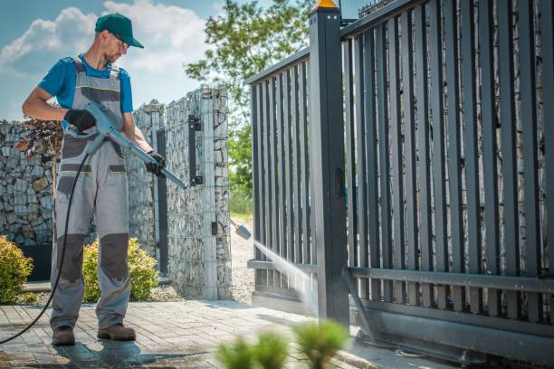 Best Driveway Pressure Washing  in Palmyra, NJ