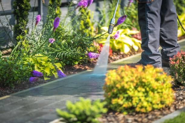 Best Boat and Dock Cleaning  in Palmyra, NJ