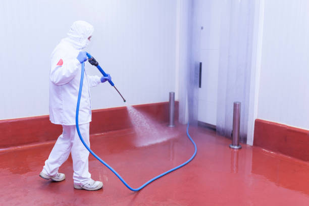 Best Pre-Holiday Cleaning  in Palmyra, NJ