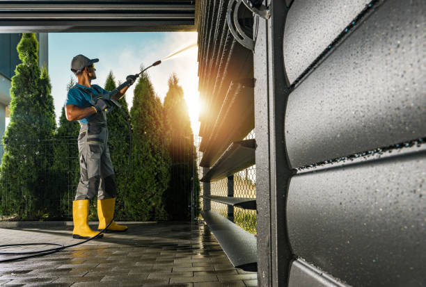 Best Gutter Cleaning  in Palmyra, NJ